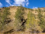 20190914-IMG 1953 : 2019, Mongolei, Mongolia