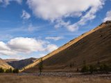 20190914-IMG 1966 : 2019, Mongolei, Mongolia
