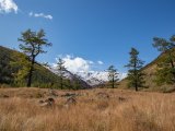 20190914-IMG 1974 : 2019, Mongolei, Mongolia