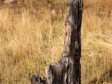 20190914-IMG 1975 : 2019, Mongolei, Mongolia