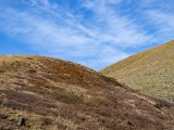 20190914-IMG 1984 : 2019, Mongolei, Mongolia