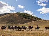 20190915-IMG 2028 : 2019, Mongolei, Mongolia
