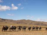 20190915-IMG 2033 : 2019, Mongolei, Mongolia
