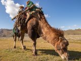 20190915-IMG 2054 : 2019, Mongolei, Mongolia