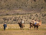 20190915-IMG 2063 : 2019, Mongolei, Mongolia