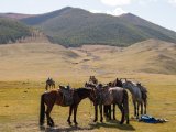 20190915-IMG 2072 : 2019, Mongolei, Mongolia
