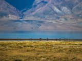 20190916-IMG 2194 : 2019, Mongolei, Mongolia