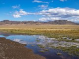 20190916-IMG 2209 : 2019, Mongolei, Mongolia