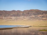 20190916-IMG 2220 : 2019, Mongolei, Mongolia
