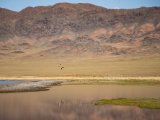20190916-IMG 2223 : 2019, Mongolei, Mongolia
