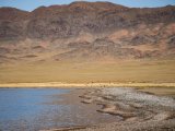 20190916-IMG 2224 : 2019, Mongolei, Mongolia