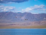 20190916-IMG 2229 : 2019, Mongolei, Mongolia