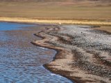 20190916-IMG 2233 : 2019, Mongolei, Mongolia