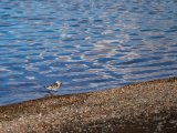 20190916-IMG 2235 : 2019, Mongolei, Mongolia