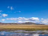 20190916-IMG 2236 : 2019, Mongolei, Mongolia