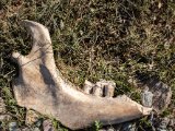20190916-IMG 2268 : 2019, Mongolei, Mongolia