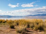 20190916-IMG 2276 : 2019, Mongolei, Mongolia