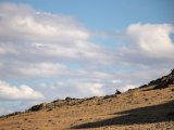 20190916-IMG 2306 : 2019, Mongolei, Mongolia