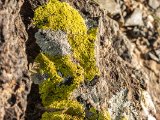 20190916-IMG 2309 : 2019, Mongolei, Mongolia