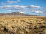 20190916-IMG 2381 : 2019, Mongolei, Mongolia