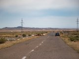 20190917-IMG 2586 : 2019, Mongolei, Mongolia