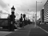 20110901-IMG 5764