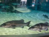 20110901-IMG 5842