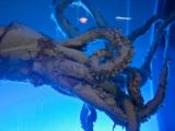 20110901-IMG 5871