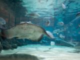 20110901-IMG 5895