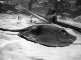 20110901-IMG 5903