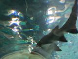 20110901-IMG 5931