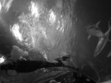 20110901-IMG 5937