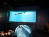 20110901-IMG 5955