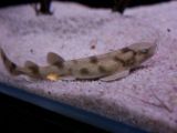 20110901-IMG 5959