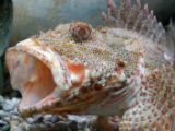 20110901-IMG 5965
