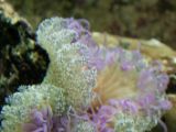 20110901-IMG 5981