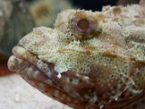 20110901-IMG 5987