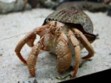 20110901-IMG 5993