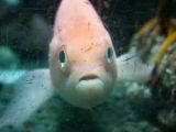 20110901-IMG 6021