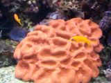 20110901-IMG 6037