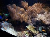 20110901-IMG 6040