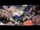 20110901-IMG 6042