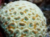 20110901-IMG 6044