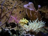 20110901-IMG 6047