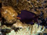 20110901-IMG 6053