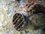 20110901-IMG 6054