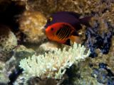 20110901-IMG 6056