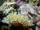 20110901-IMG 6059