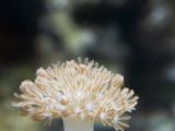 20110901-IMG 6060