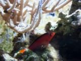 20110901-IMG 6062